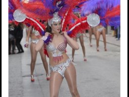 Carnaval de Mula 2014